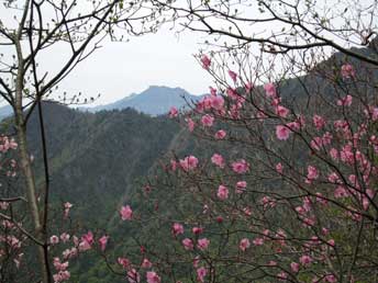 西黒森から石鎚山