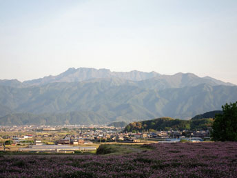 西条市観念寺から