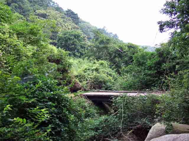 本庄橋跡