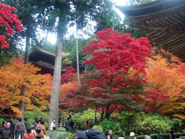 金剛輪寺三重塔