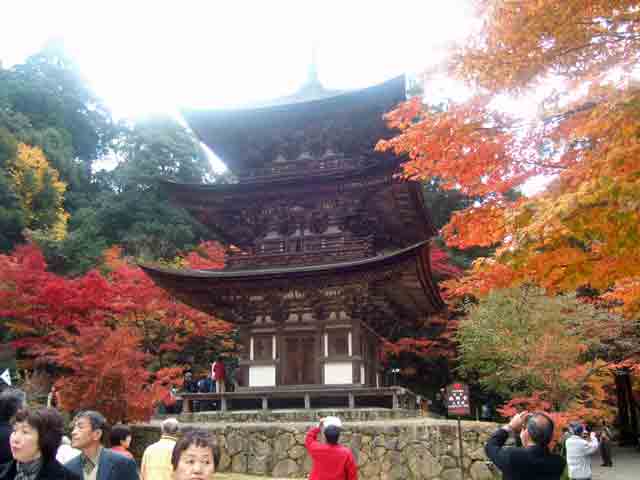 西明寺三重塔