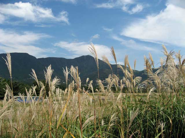 ススキの原から金時山