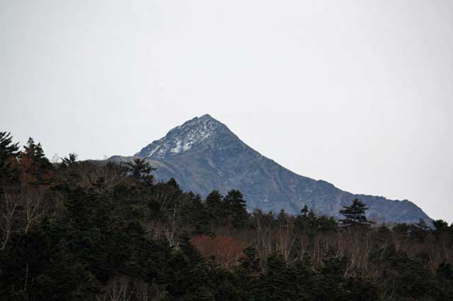 北沢峠北岳