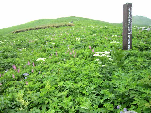 桃岩登山口
