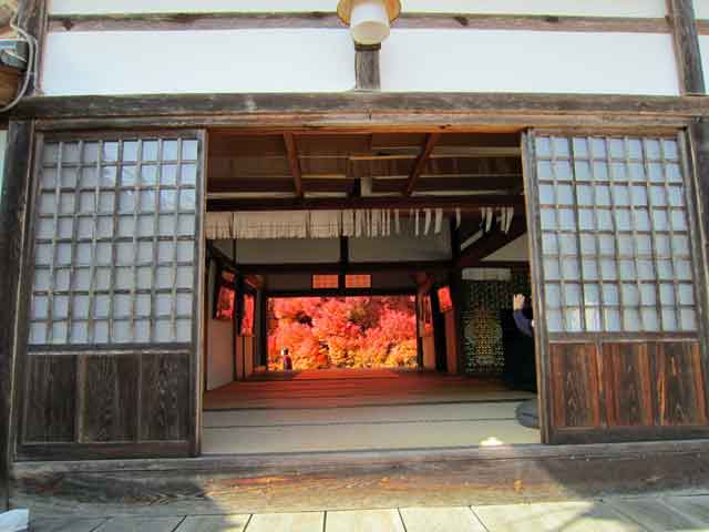縁側見通し