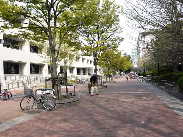 旧ロ号館前
