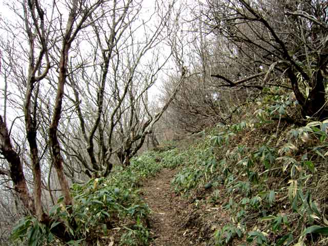 岩黒山登山道