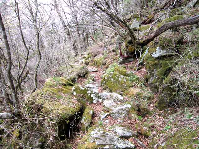 岩黒山山腹道