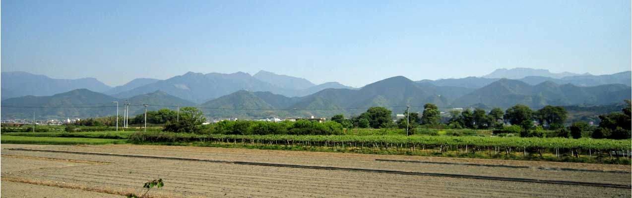 2011年5月8日の石鎚山系