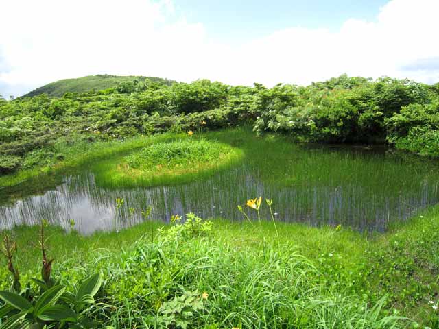 赤池湿原の池塘