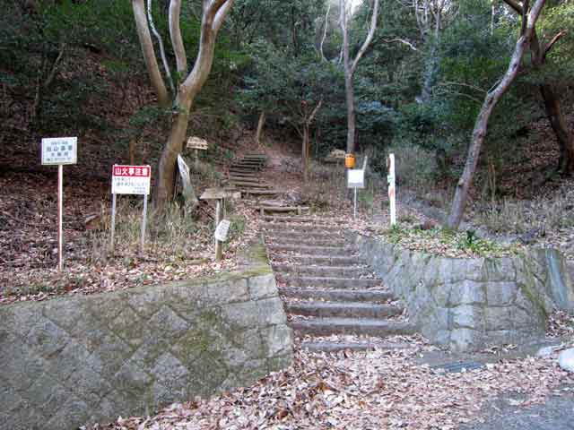 登山道分岐