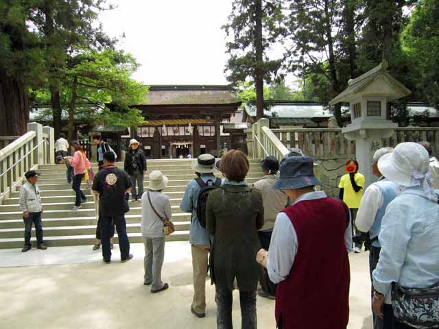 大山祇神社ご本殿