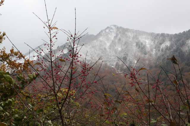 白毛門山