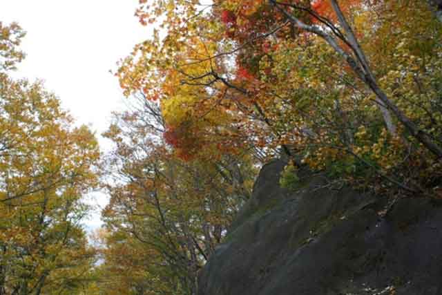 崖上の紅葉が見事
