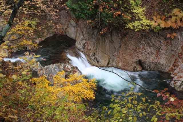 照葉峡 岩魚の滝