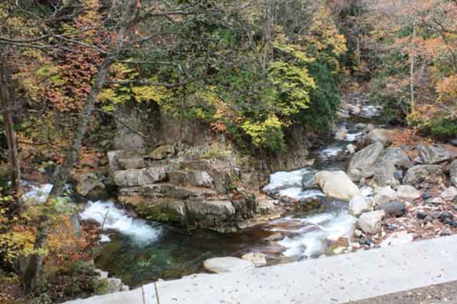 照葉峡 白龍の滝