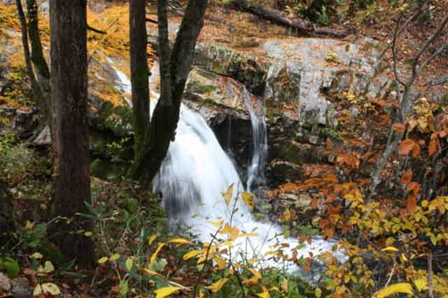 照葉峡 山彦の滝