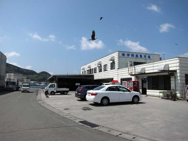 宇和島魚市場