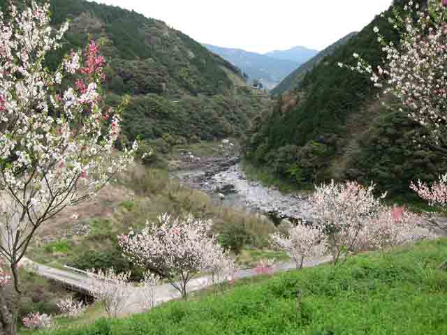 仁淀川中流