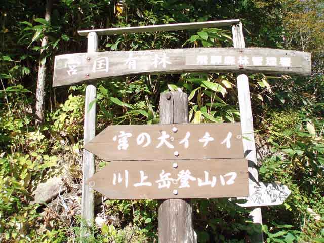 登山口