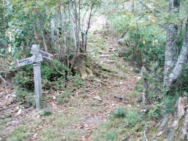 下り道