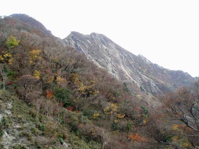 猫岳との鞍部から