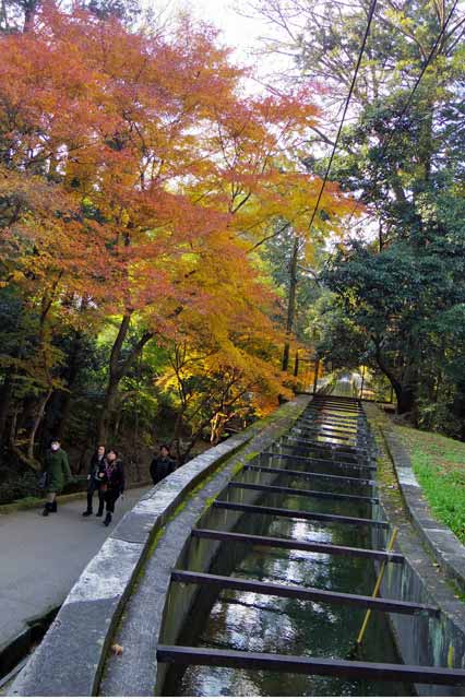 琵琶湖疏水の水路