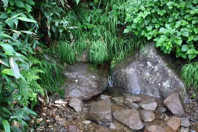 銀嶺水