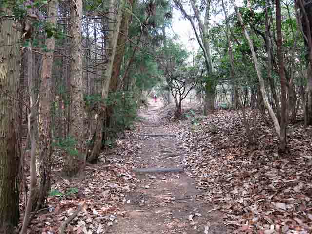 登山道